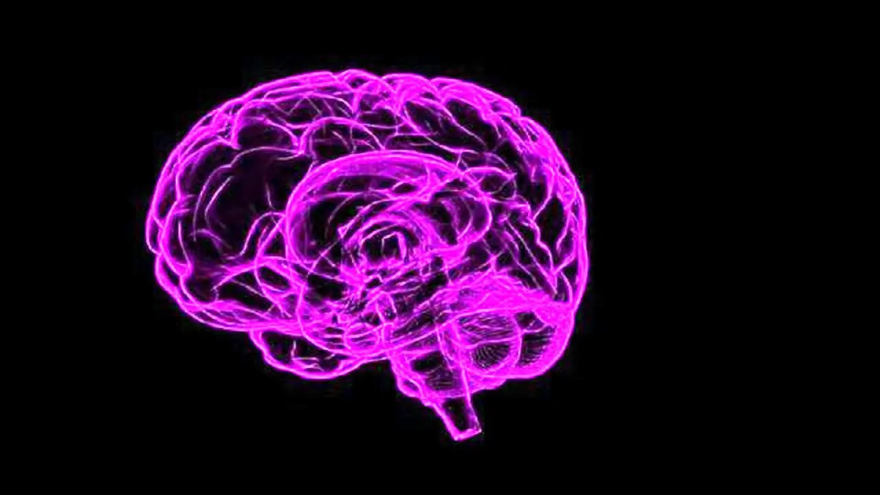آیا مغز می‌تواند خود را ترمیم کند؟