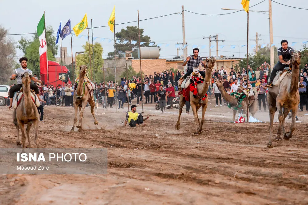 تصاویر | مسابقات کورس شتردوانی در شاهدیه یزد