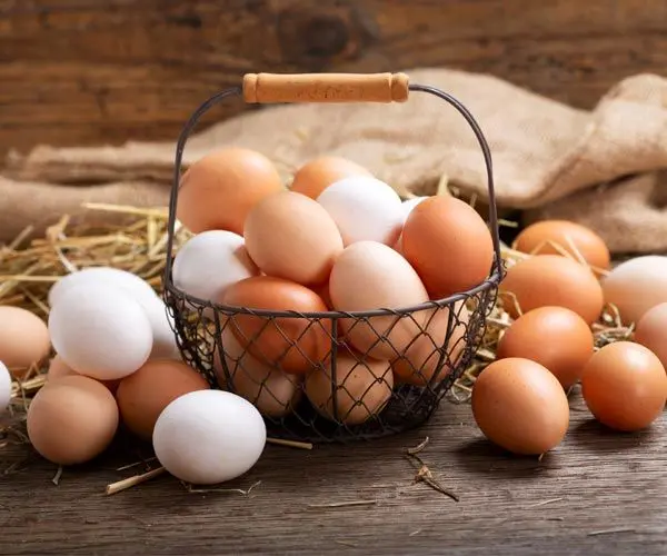 صادرات 55 هزار تنی تخم مرغ در سال ۱۴۰۱/ چالش گوشت قرمز برای تخم‌مرغ تکرار می‌شود!