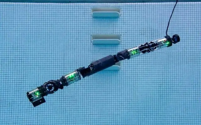 این ربات می‎تواند شنا کند!