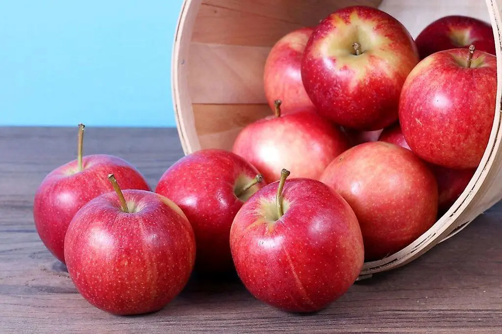 صادرات ۵۵۰ هزار تن سیب در ۱۱ ماهه سال گذشته

