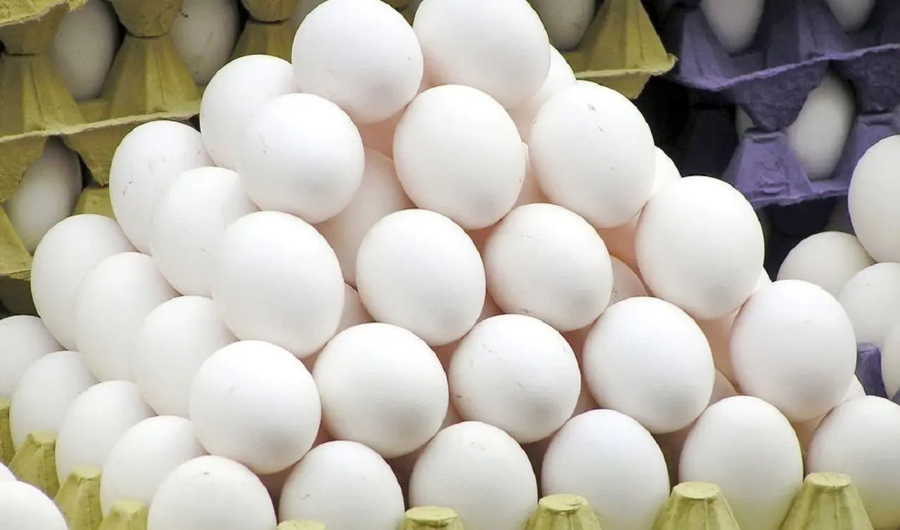 تخم ‌مرغ گران نشده/ قیمت‌های جدید هفته‌ آینده اعلام می‌شود

