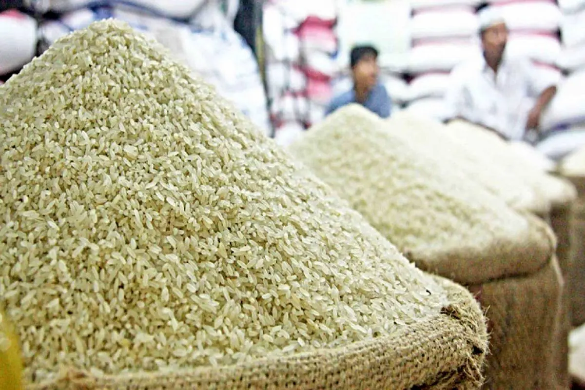 افزایش ۴۰۰ هزار تنی تولید برنج در کشور