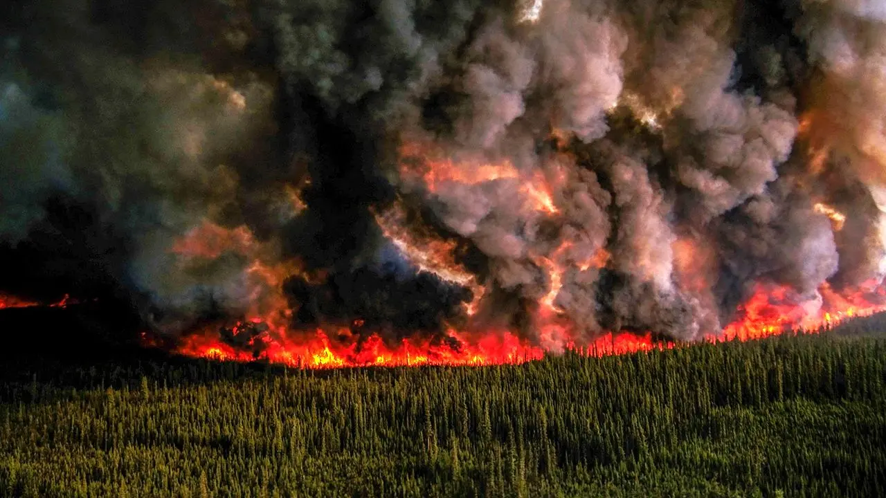 فیلم| آلودگی شهر‌های کانادا بر اثر آتش سوزی جنگل‌ها