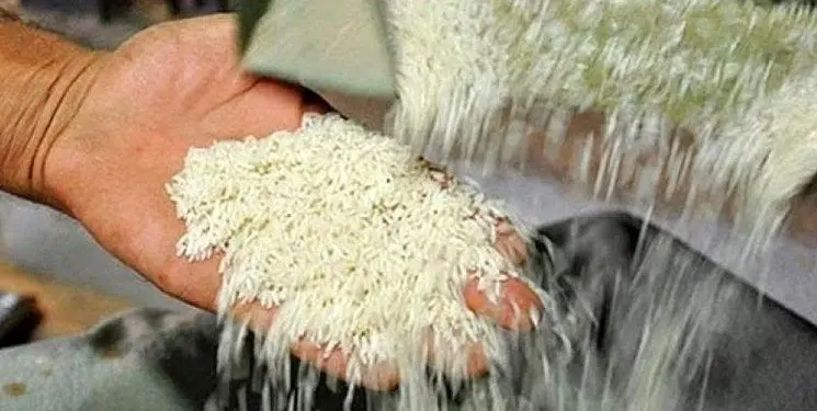  سرمقاله روزنامه اطلاعات:  هندی ها محموله کیوی ایران را پس فرستادند؛ ما هم واردات برنج را متوقف کردیم!