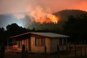 ویدئو| آتش سوزی گسترده در شیلی