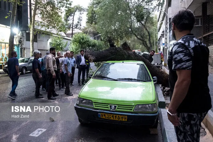 خسارات ناشی از وزش باد شدید در تهران
