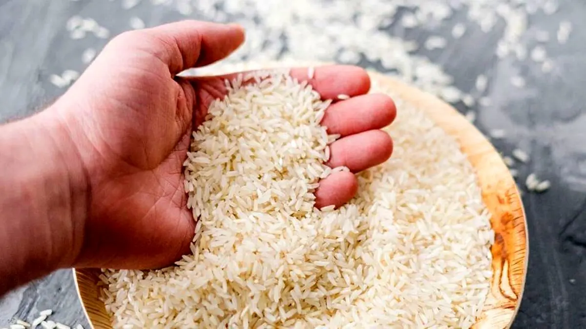 قیمت دستوری عامل شوک در بازار برنج است

