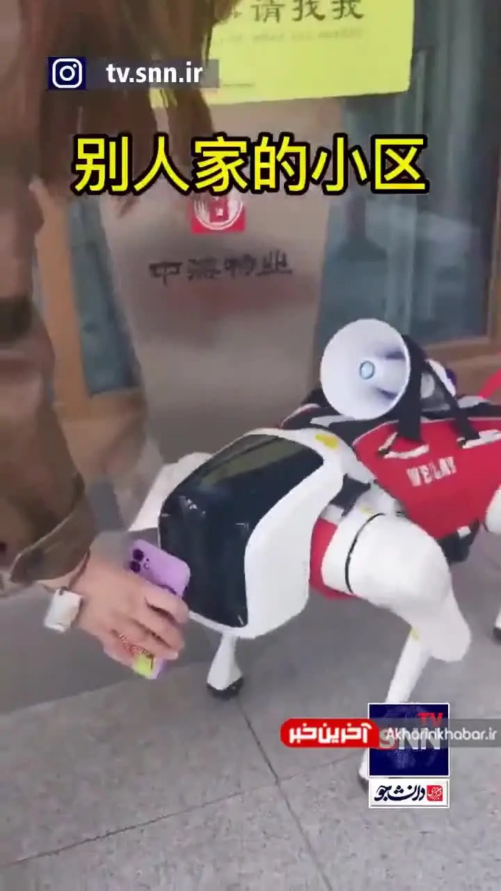 فیلم/ چک کردن کارت واکسن چینی‌ها توسط سگ های ربات