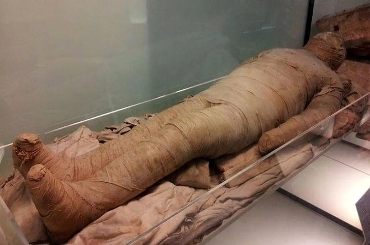 فیلم| کشف مومیایی ۱۲۰۰ ساله یک نوجوان با پوست و موی سالم