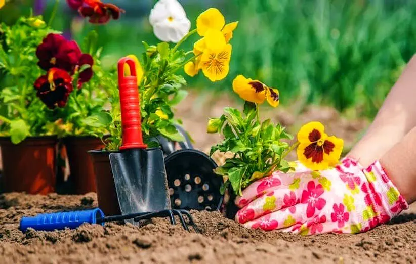 برای کاشت بذر و پیاز گل در بهار همین حالا دست به کار شوید