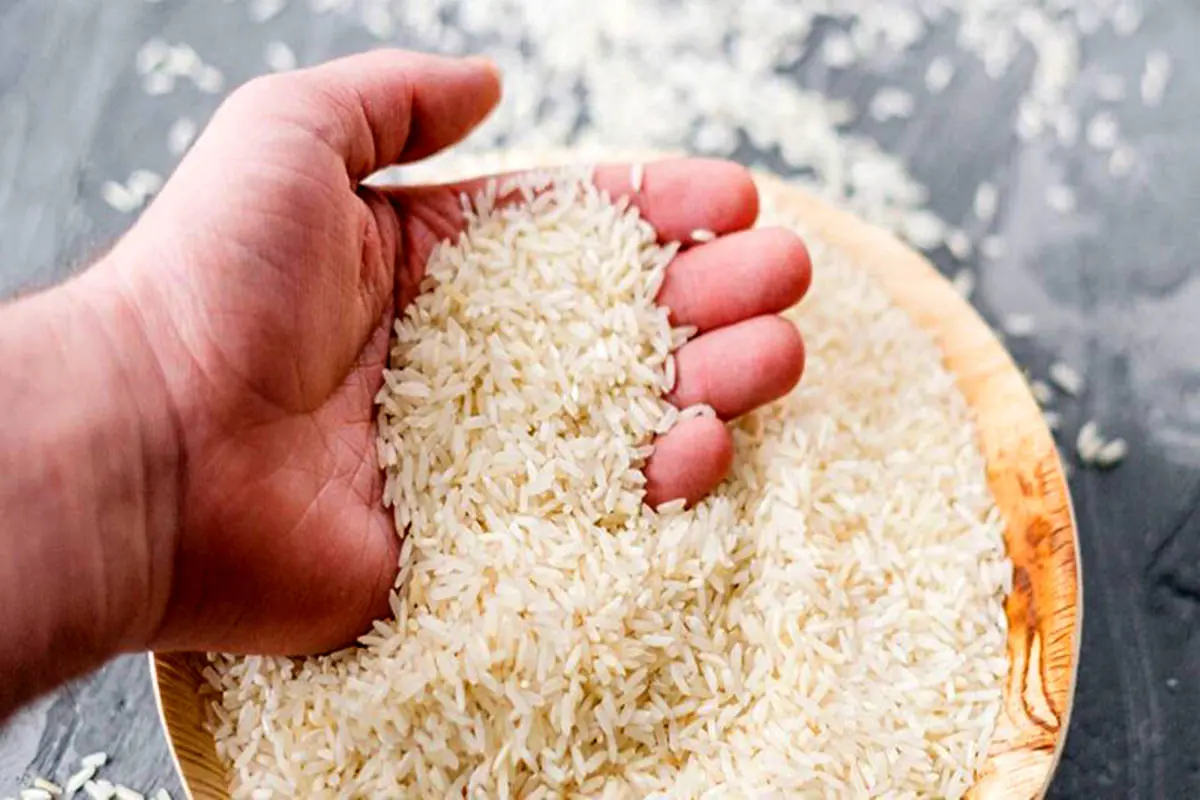 کاهش ۱۰ تا ۱۲ درصدی قیمت برنج به دلیل رکود