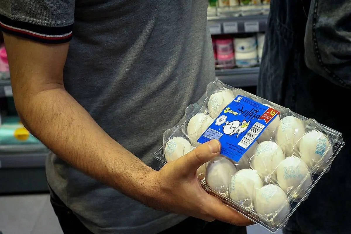 افزایش قیمت تخم مرغ رسما اعلام شد