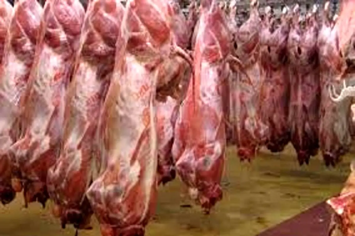 وزارت جهاد افزایش قیمت گوشت را به گردن دامداران انداخت