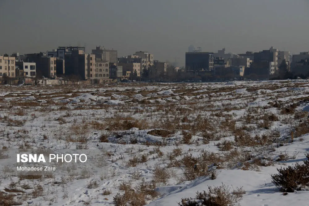 تصاویر | برف در مشهد با طعم آلودگی!