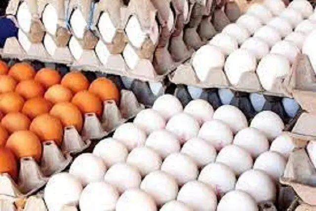 آخرین قیمت تخم مرغ در بازار