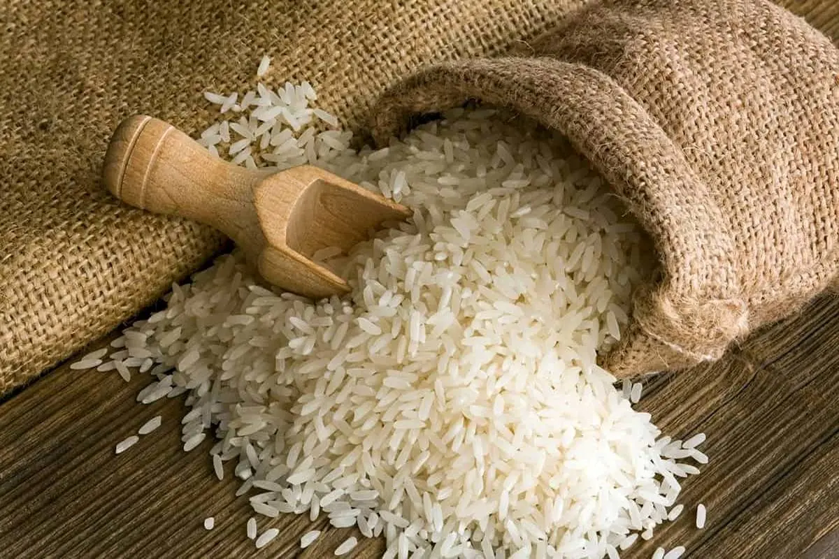 کاهش قیمت برنج در استان‌های شمالی