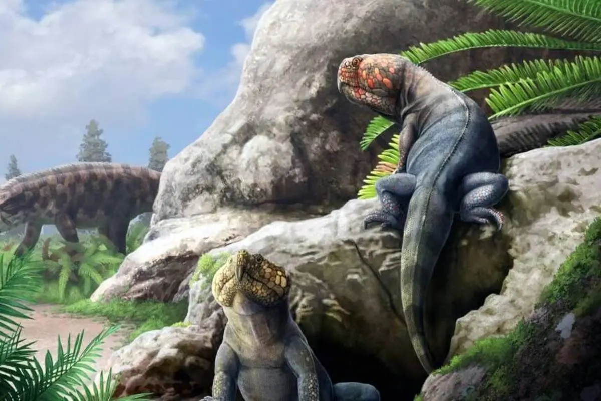 کشف یک گونه جدید از هیولاهای باستانی ۲۵۰ میلیون ساله!