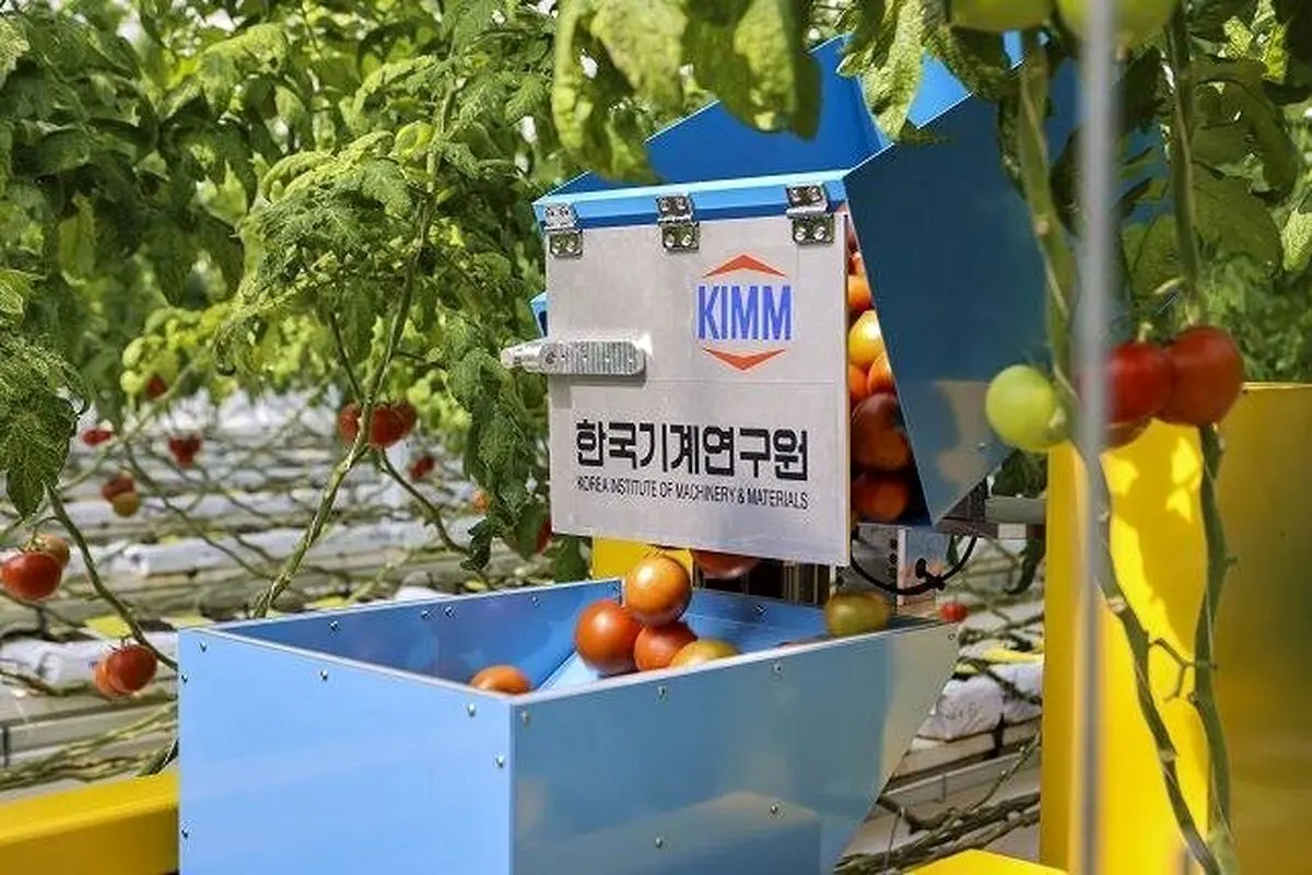عکس/ این هم کشاورز مصنوعی ساخت کره!