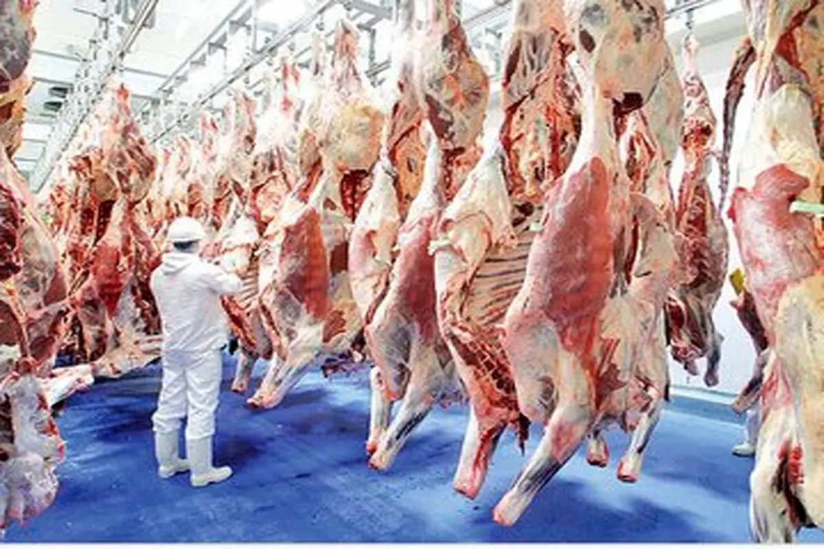 قیمت رسمی گوشت اعلام شد/ قیمت گوشت را بالاتر از این عدد دیدید، تخلف است