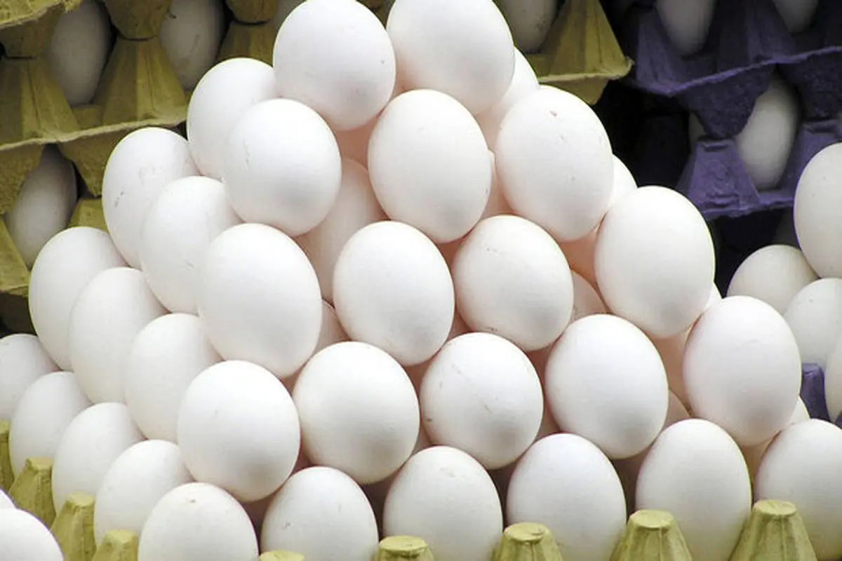  افزایش قیمت تخم مرغ هنوز مصوب نشده