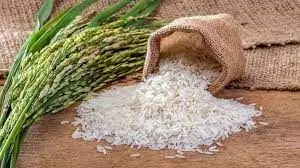 این بیماری‌ها ناشی از مصرف زیاد برنج سفید است!