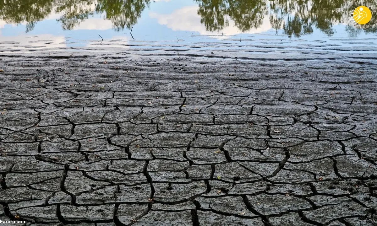 بدترین خشکسالی اروپا + تصاویر