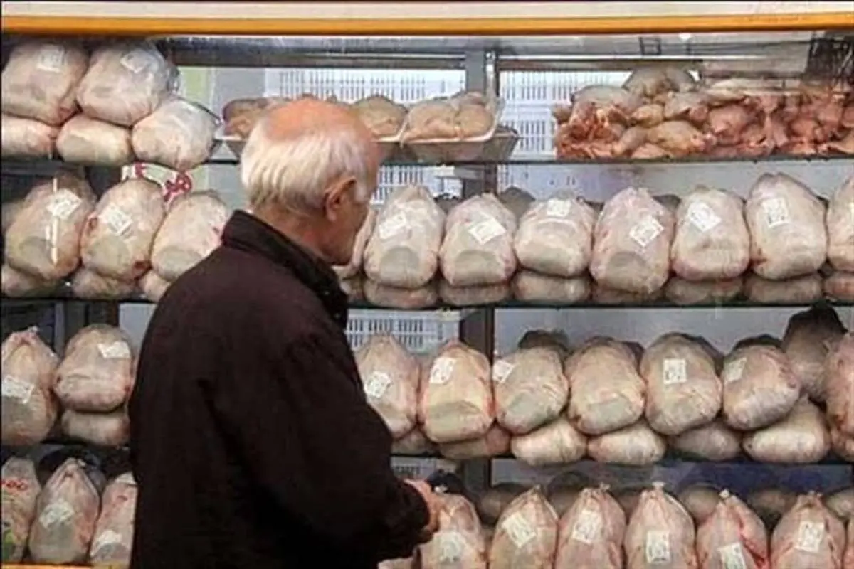 سرانه مصرف مرغ به ۲۶کیلو در سال رسید/ پیش‌بینی افزایش سرانه در سال جاری

