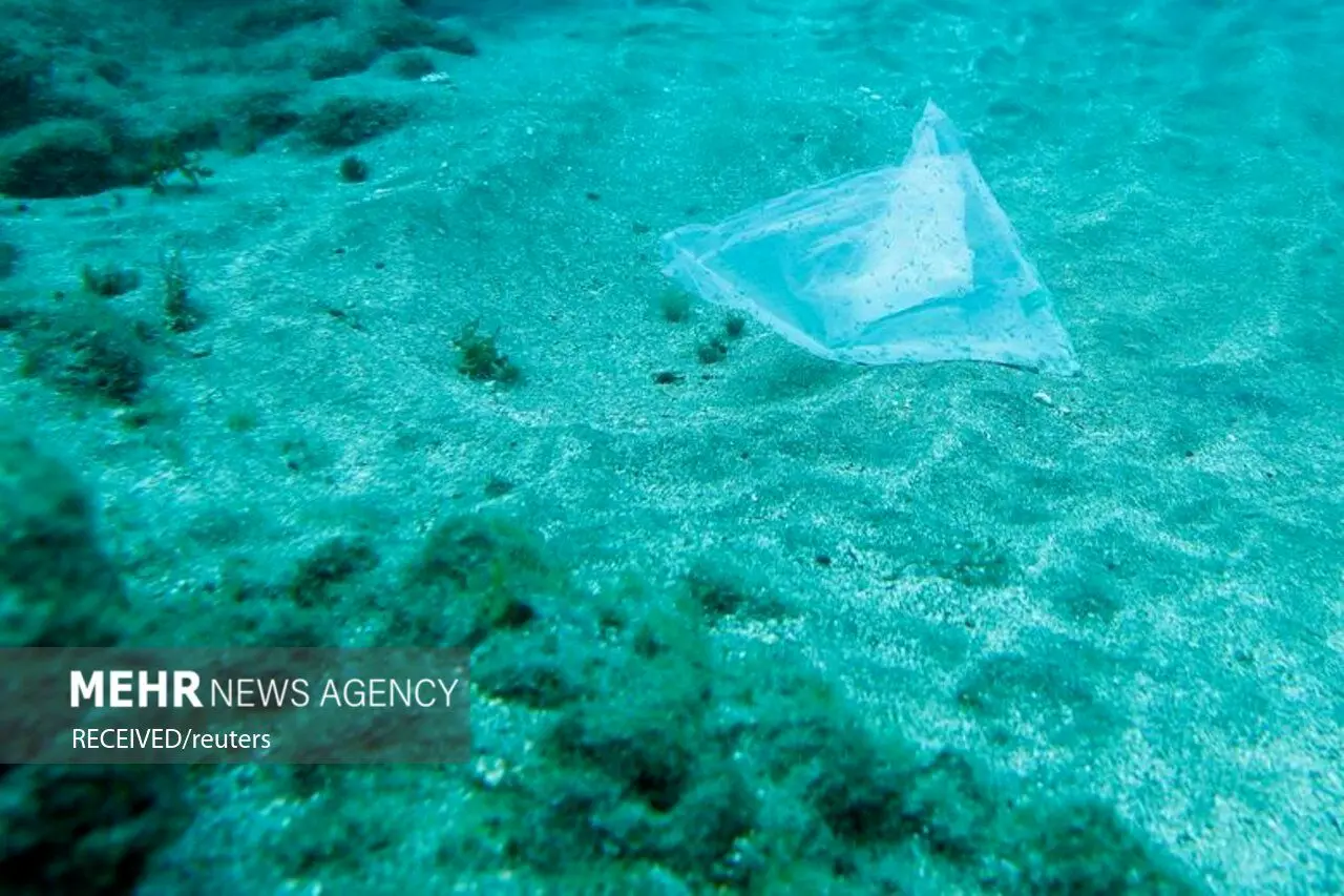 تصاویر| رویترز: پلاستیک تهدیدی برای دریاها