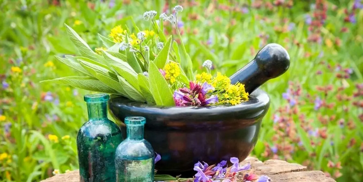 ۱۷ توصیه‌ طب ایرانی برای فصل بهار