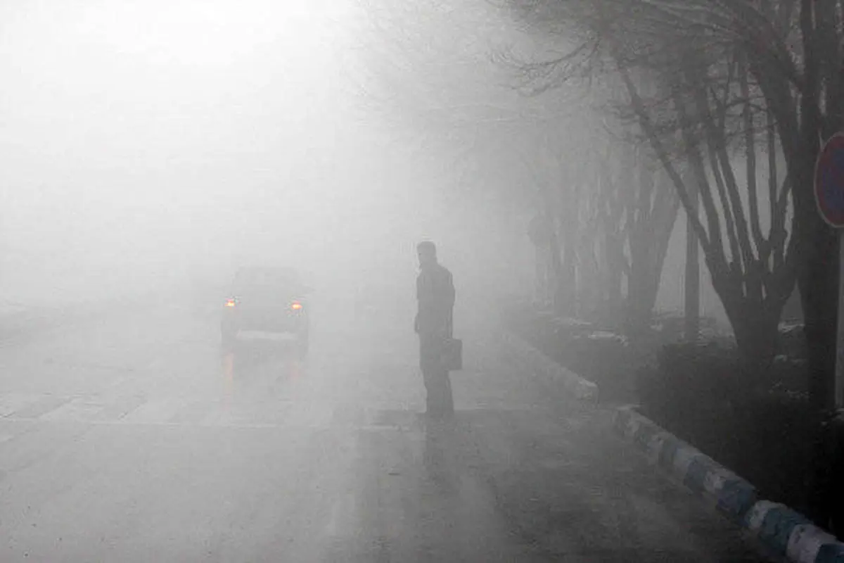 ببینید | تهران زیر مه غلیظ گم‌ شد