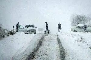 ویدئو| بارش سنگین برف در جاده چالوس