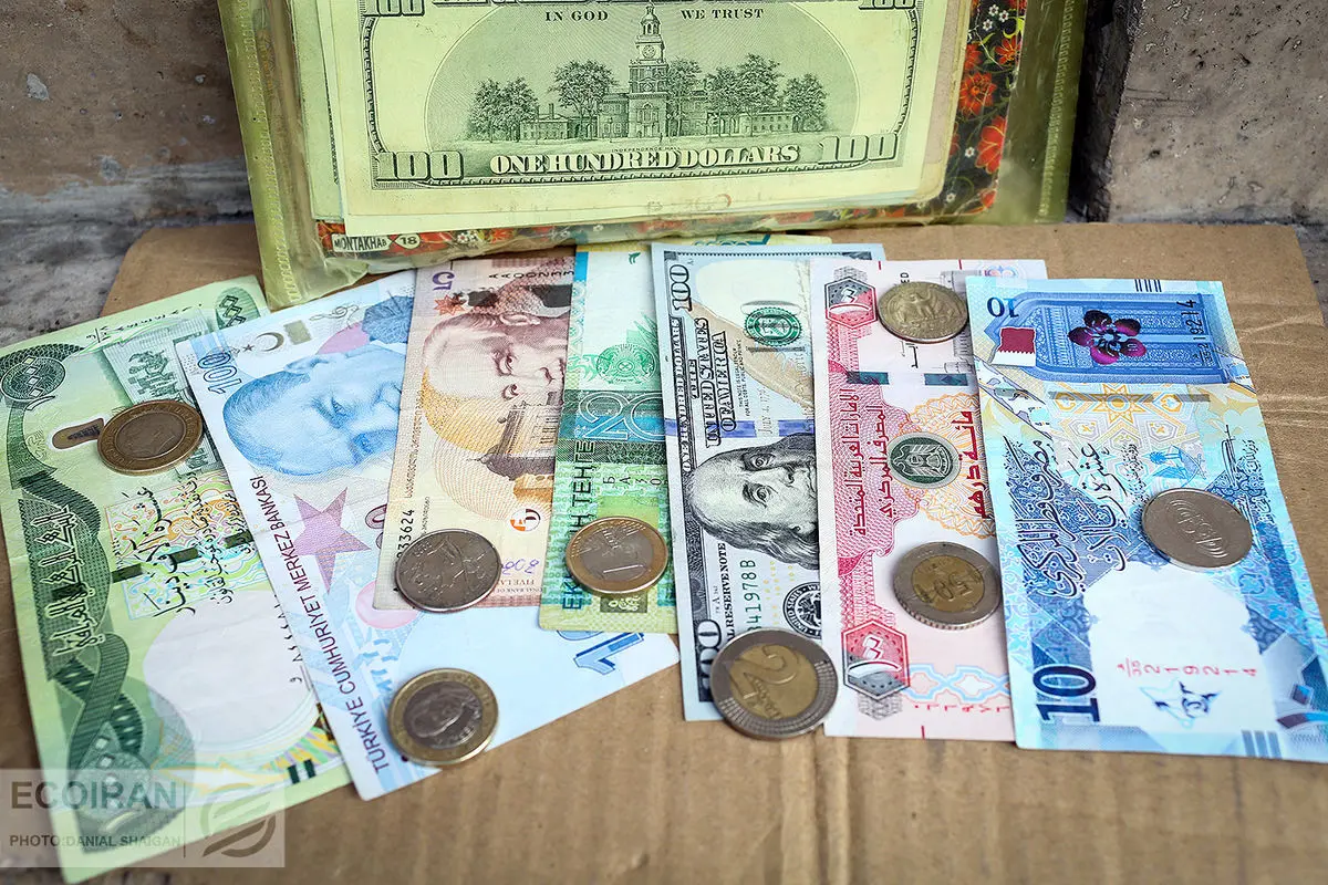 پیش بینی هاشمی طبا: قیمت ارز باز هم بالا می رود؛ دولت نمی تواند کاری بکند