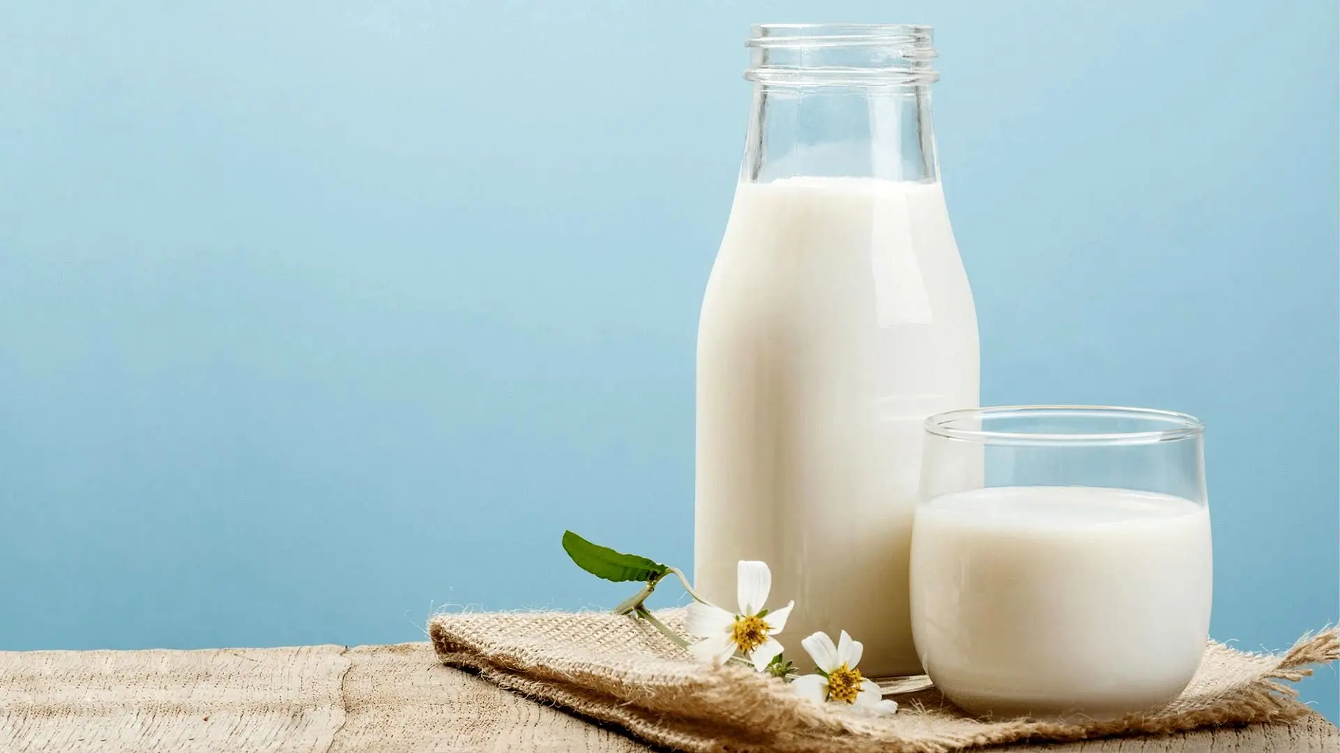 جوشاندن شیر مفید است یا مضر؟