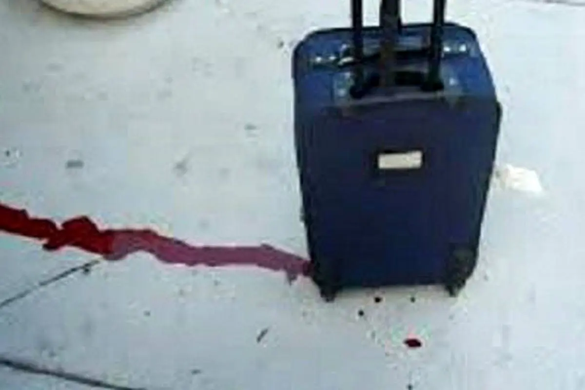 ماجرای کشف جسد تهرانی مفقود شده در چمدان چه بود؟