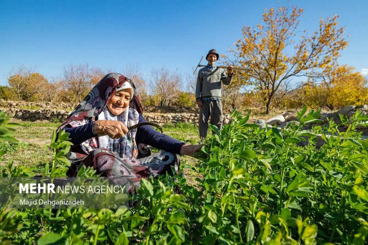 تصاویر| حیات قنات‌ها در روستاهای یزد