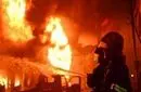 تصاویر | صاعقه زد و درختان دانشگاه تبریز را به آتش کشید